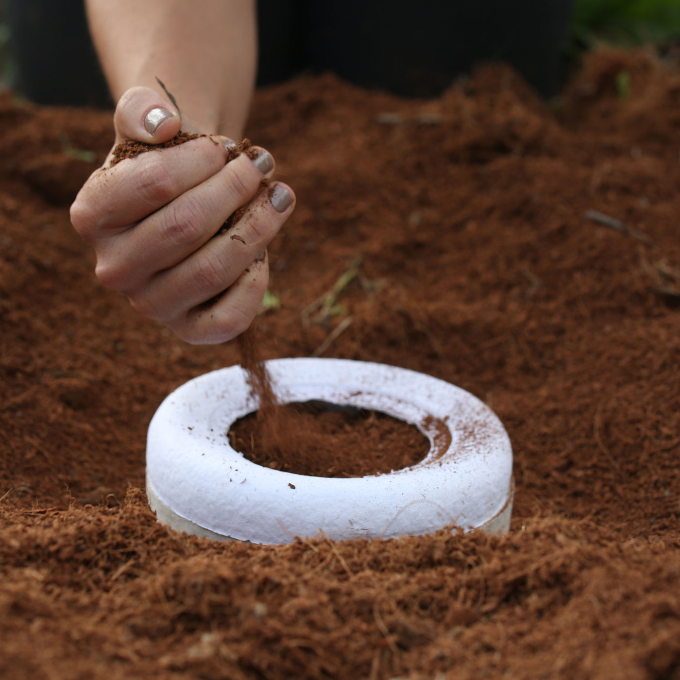 BIOS URN: PET SIZE